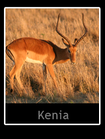 Kenia