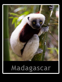 Madagascar